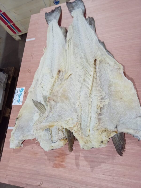 Bacalhau Porto 8/10 Gadus Morhua
